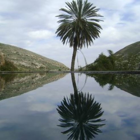 Naturschutzgebiet Wadi Qelt